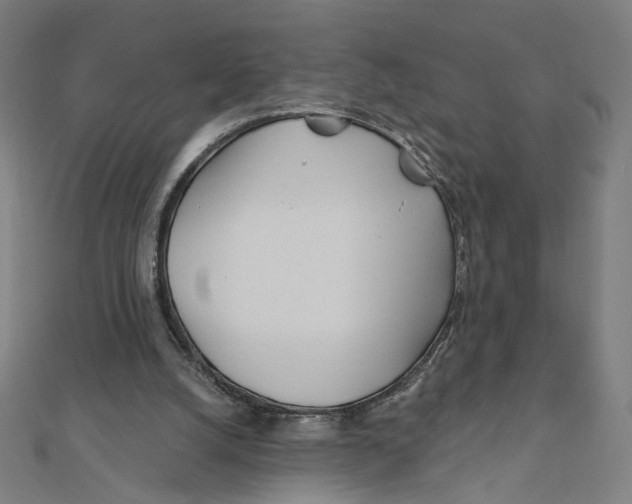 X0000111790056200908201140