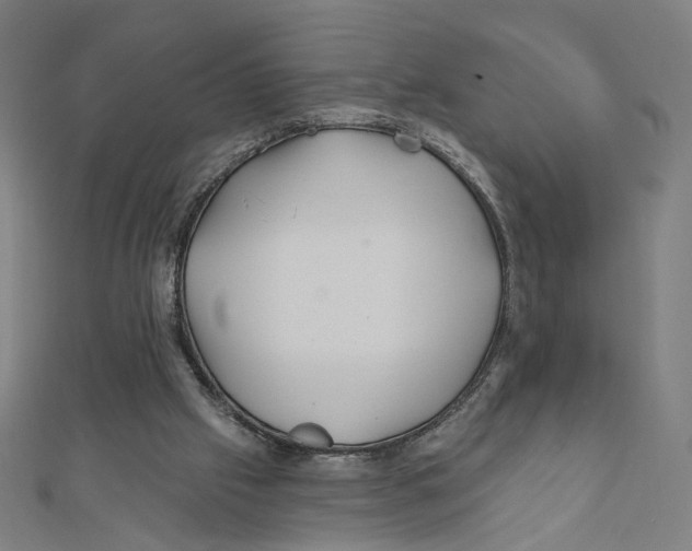 X0000111790057200908201140