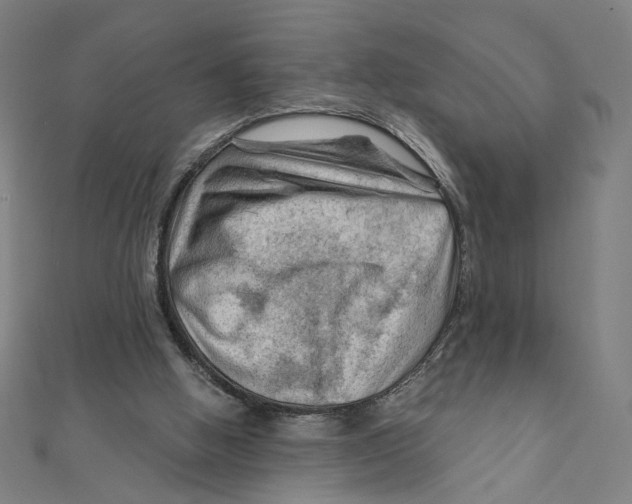 X0000111790058200908201140