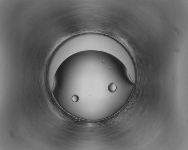 X0000111790060200908201140