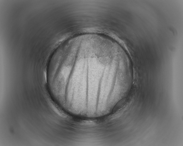 X0000111790061200908201140