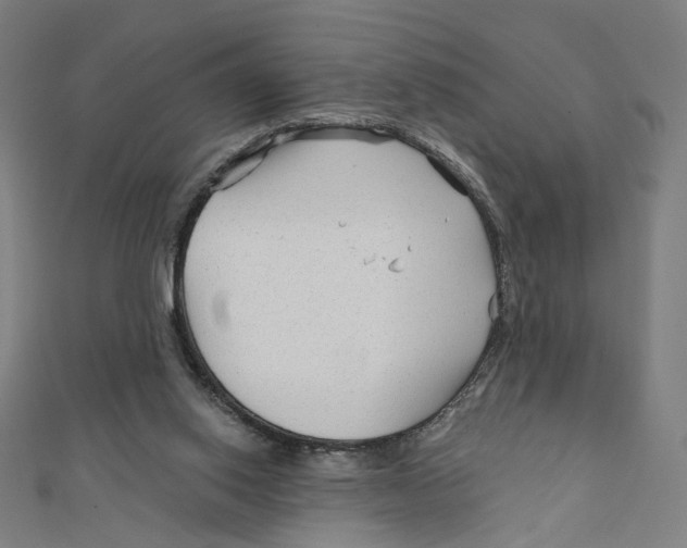 X0000111790062200908201140