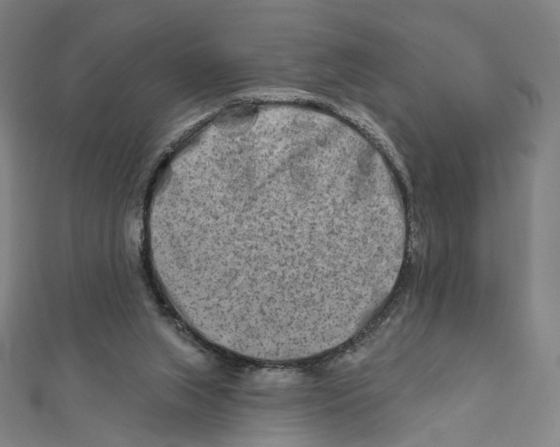 X0000111790063200908201140