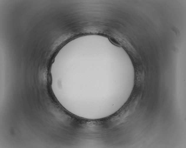 X0000111790064200908201140