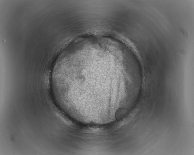 X0000111790065200908201140