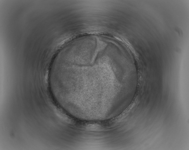 X0000111790066200908201140