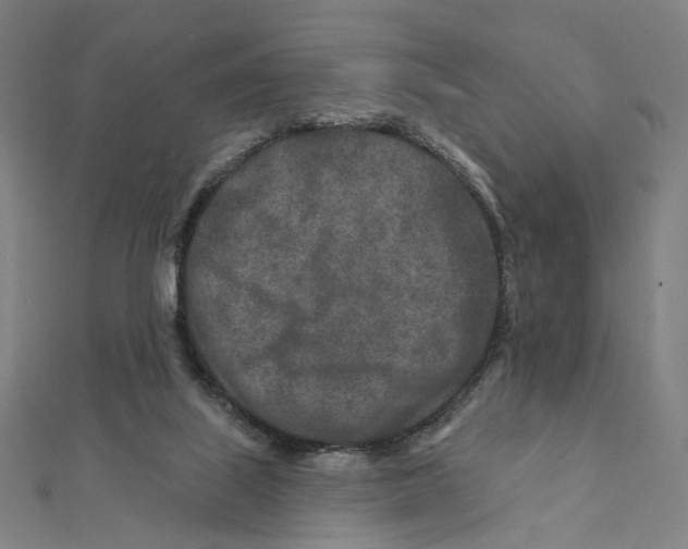 X0000111790067200908201140