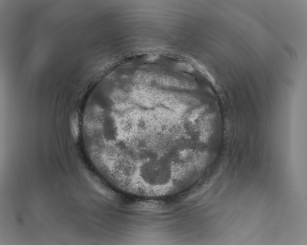 X0000111790069200908201140