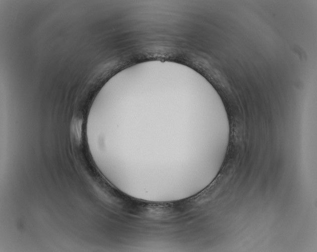 X0000111790070200908201140