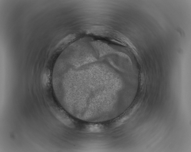 X0000111790073200908201140