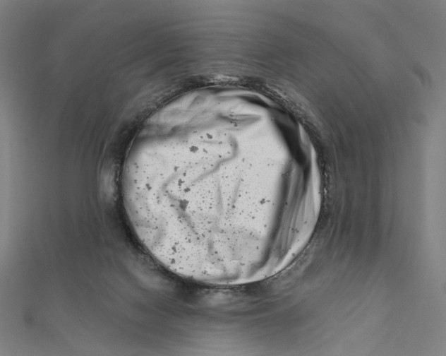 X0000111790074200908201140