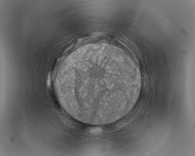 X0000111790075200908201140