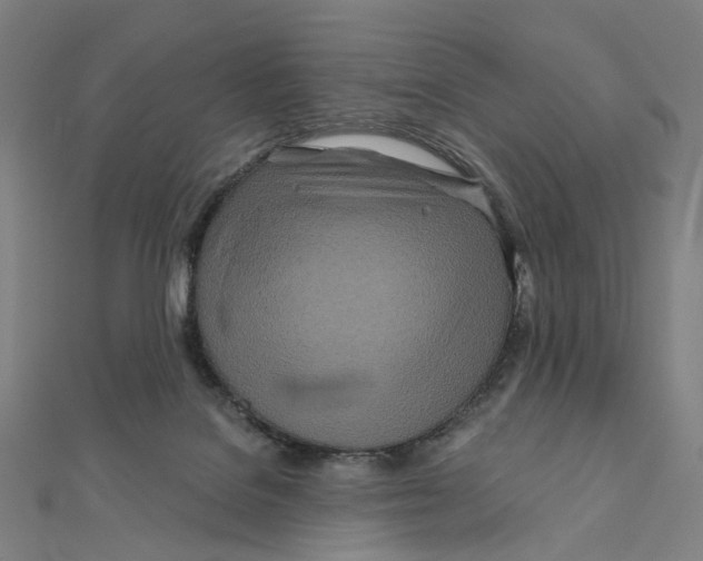 X0000111790076200908201140