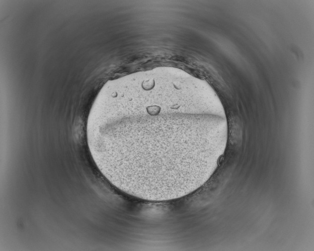 X0000111790077200908201140