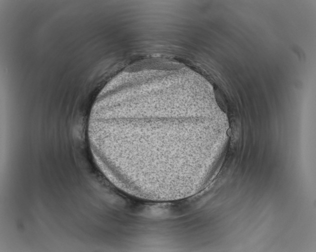 X0000111790078200908201140