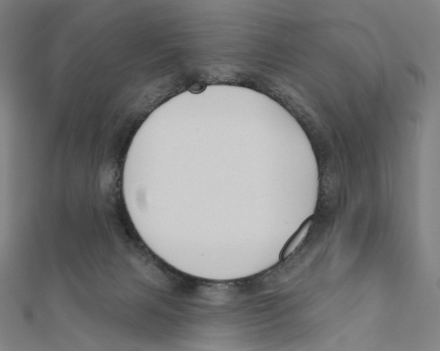 X0000111790079200908201140