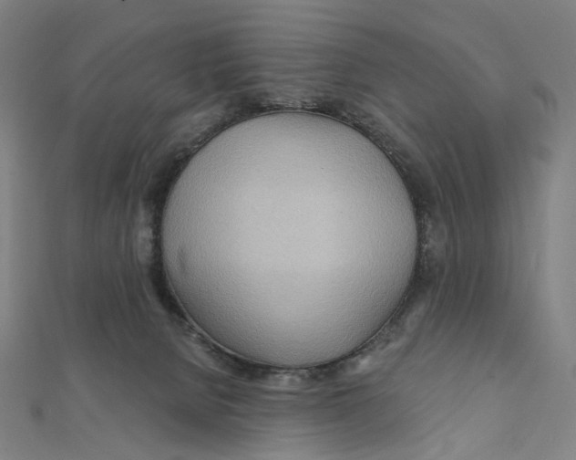 X0000111790080200908201140