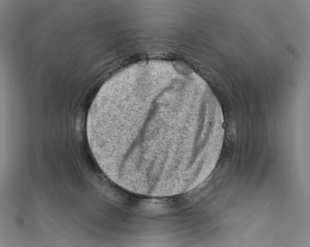 X0000111790082200908201140