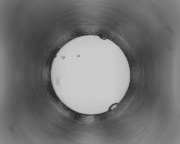 X0000111790083200908201140