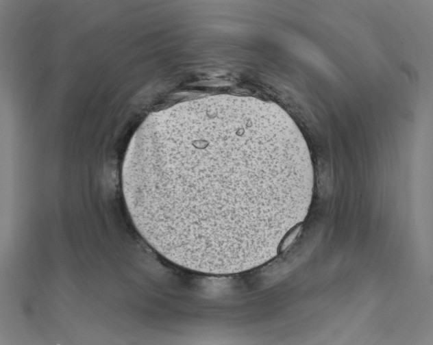 X0000111790085200908201140