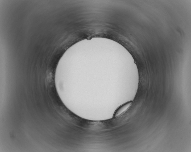 X0000111790087200908201141