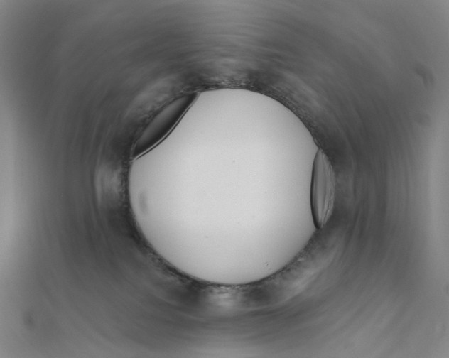 X0000111790088200908201141