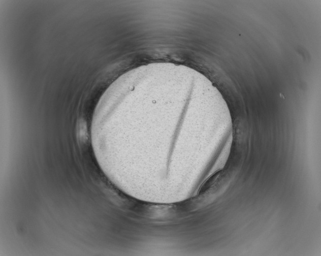 X0000111790089200908201141