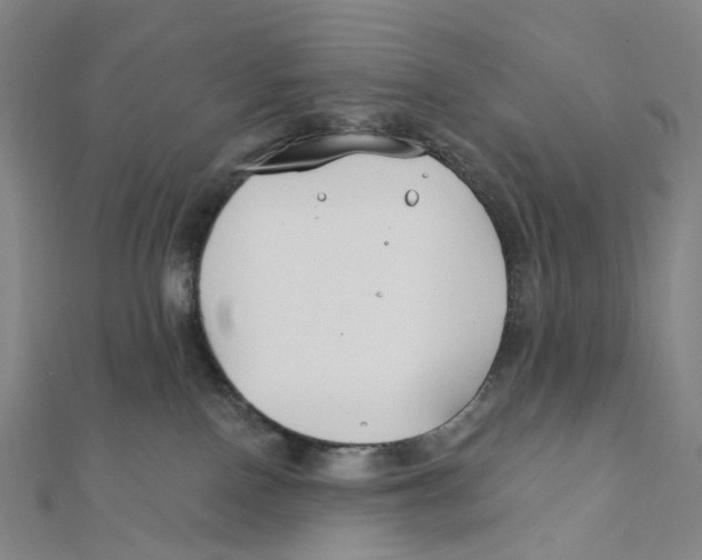 X0000111790090200908201141