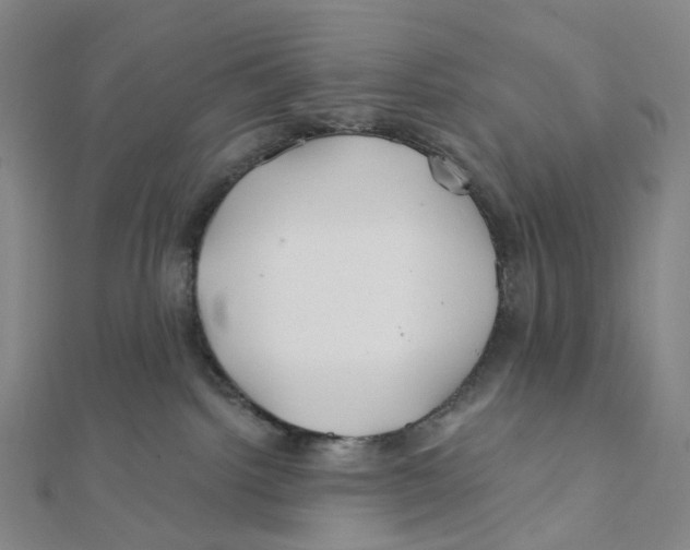 X0000111790092200908201141