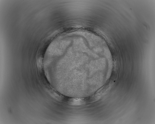 X0000111790093200908201141