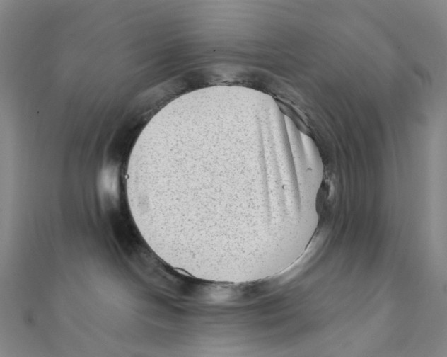 X0000111790094200908201141