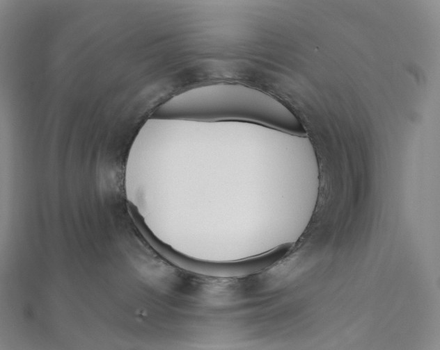 X0000111790096200908201141