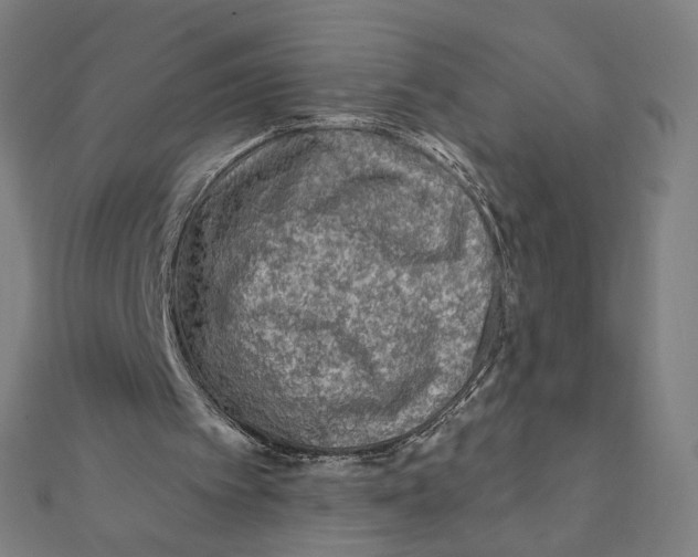 X0000111790097200908201140