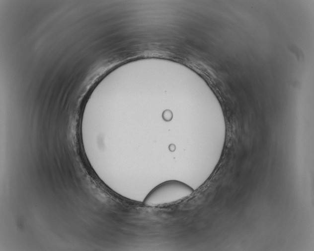 X0000111790098200908201140