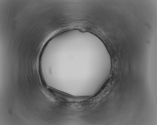 X0000111790100200908201140