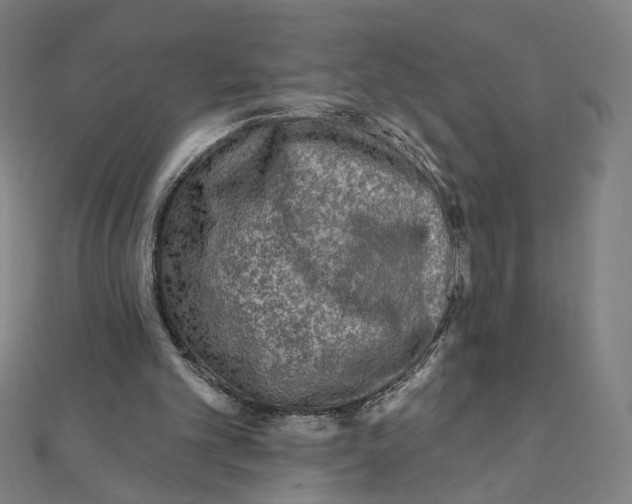 X0000111790101200908201140