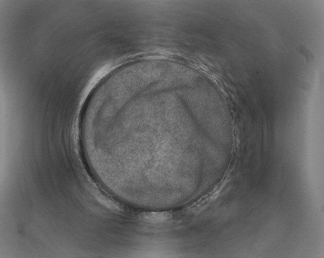 X0000111790102200908201140