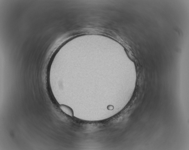 X0000111790103200908201140