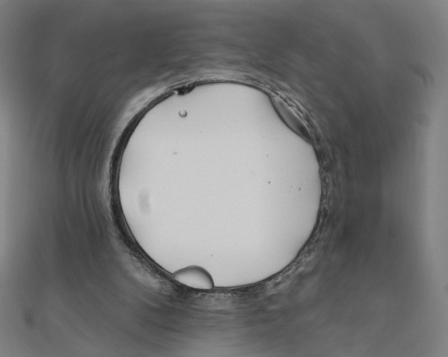 X0000111790104200908201140