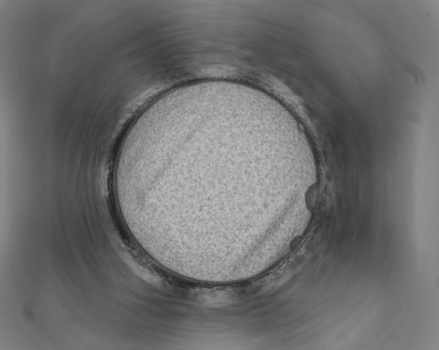 X0000111790106200908201140