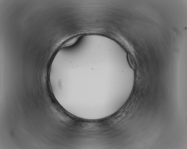 X0000111790107200908201140