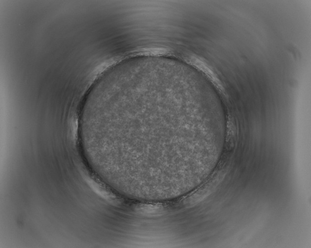 X0000111790110200908201140