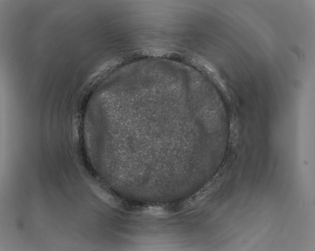 X0000111790114200908201140