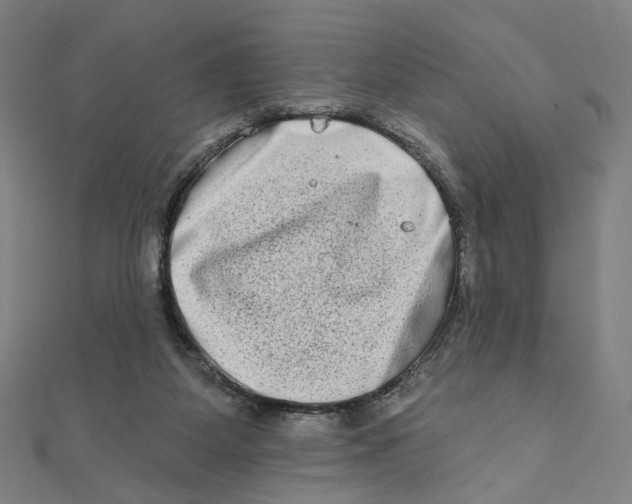 X0000111790115200908201140