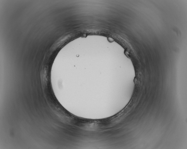 X0000111790116200908201140