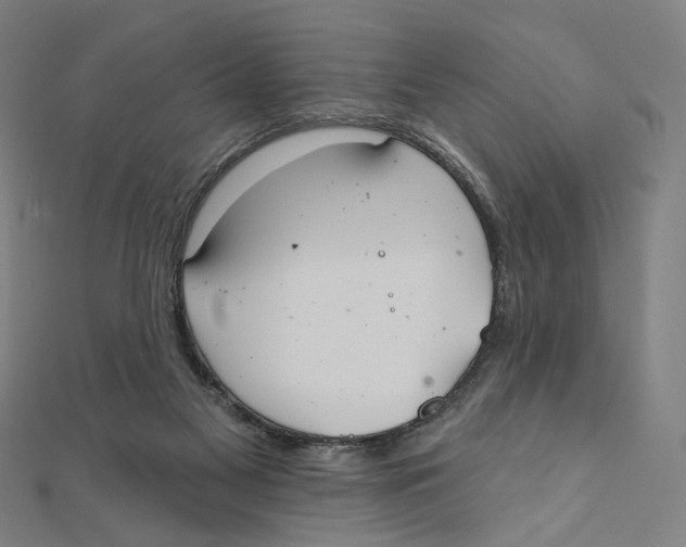 X0000111790117200908201140