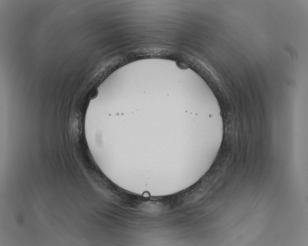 X0000111790119200908201140