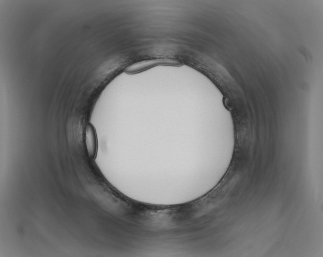 X0000111790120200908201140