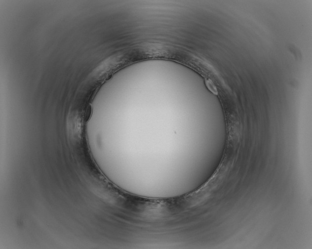 X0000111790124200908201140