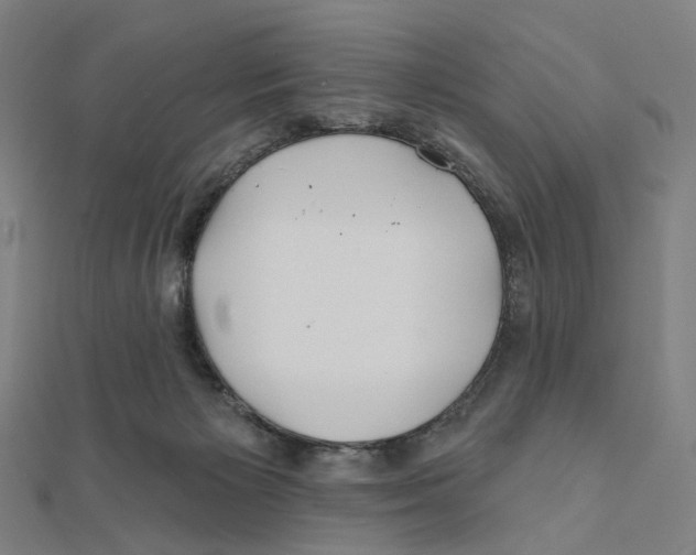 X0000111790125200908201140